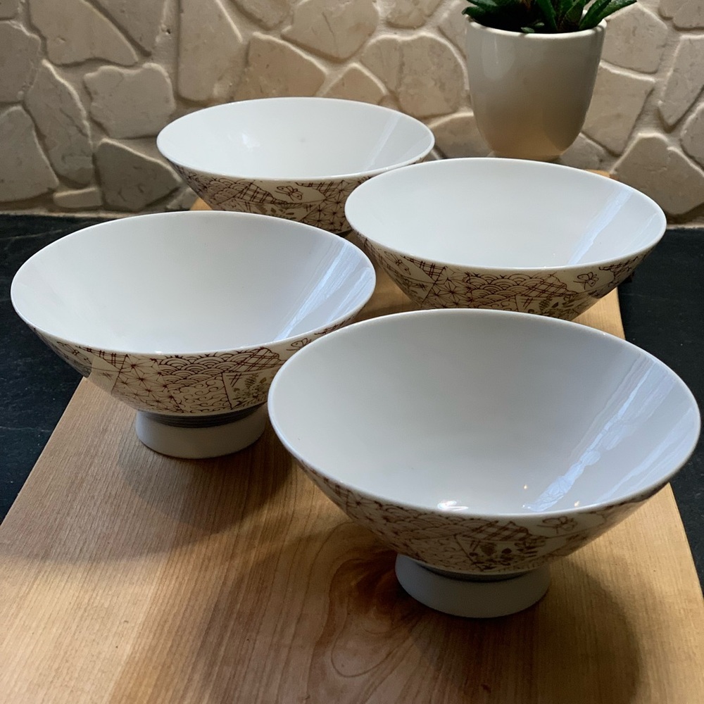 JAPANESE MINO | Set of 4 | Porcelain Rice Bowls